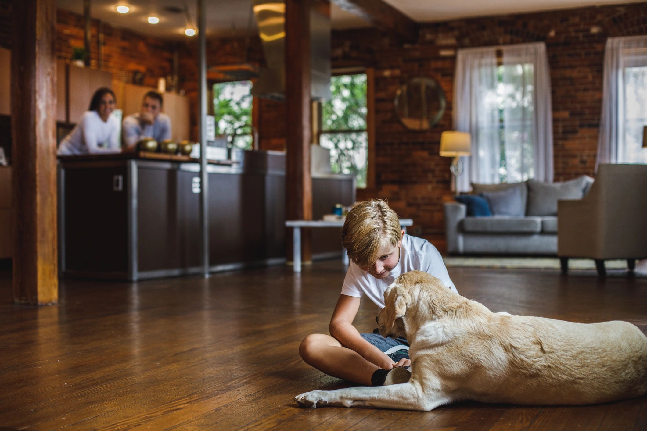 Pet first aid and CPR training session with dog owner